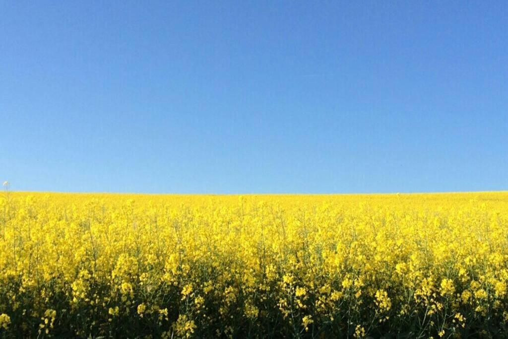 Hinter Burg, Haus Mit Garten Mayen Esterno foto