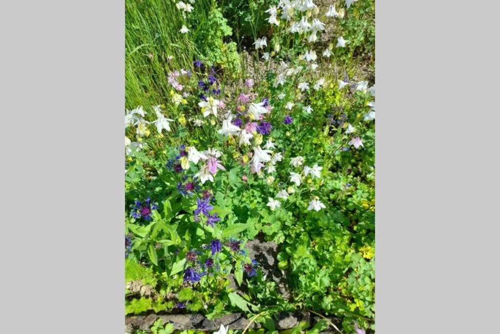 Hinter Burg, Haus Mit Garten Mayen Esterno foto